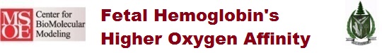 Fetal Hemoglobin's Higher Oxygen Affinity