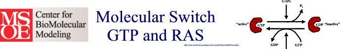 GTP and RAS... Molecular Switch